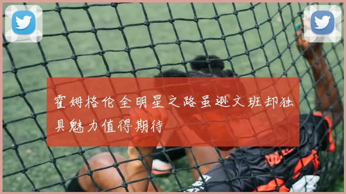 霍姆格伦全明星之路虽逊文班却独具魅力值得期待
